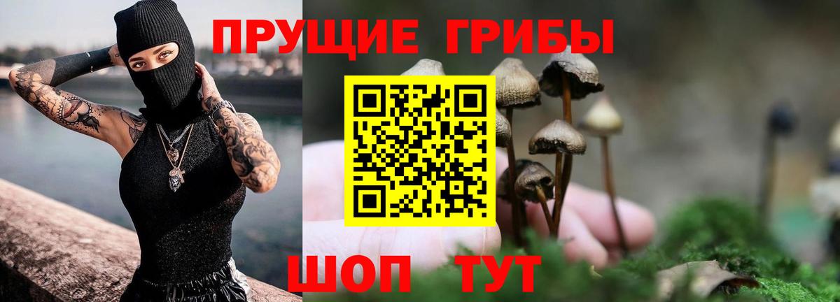 Псилоцибиновые грибы прущие грибы Саянск